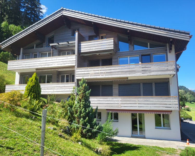 immosit - Die Firma für Immobilien im Simmental Immosit